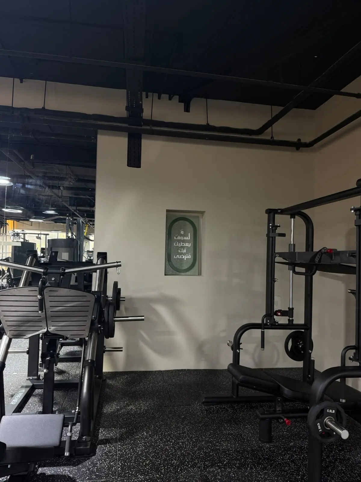 Modern resistance equipment in the fitness area
