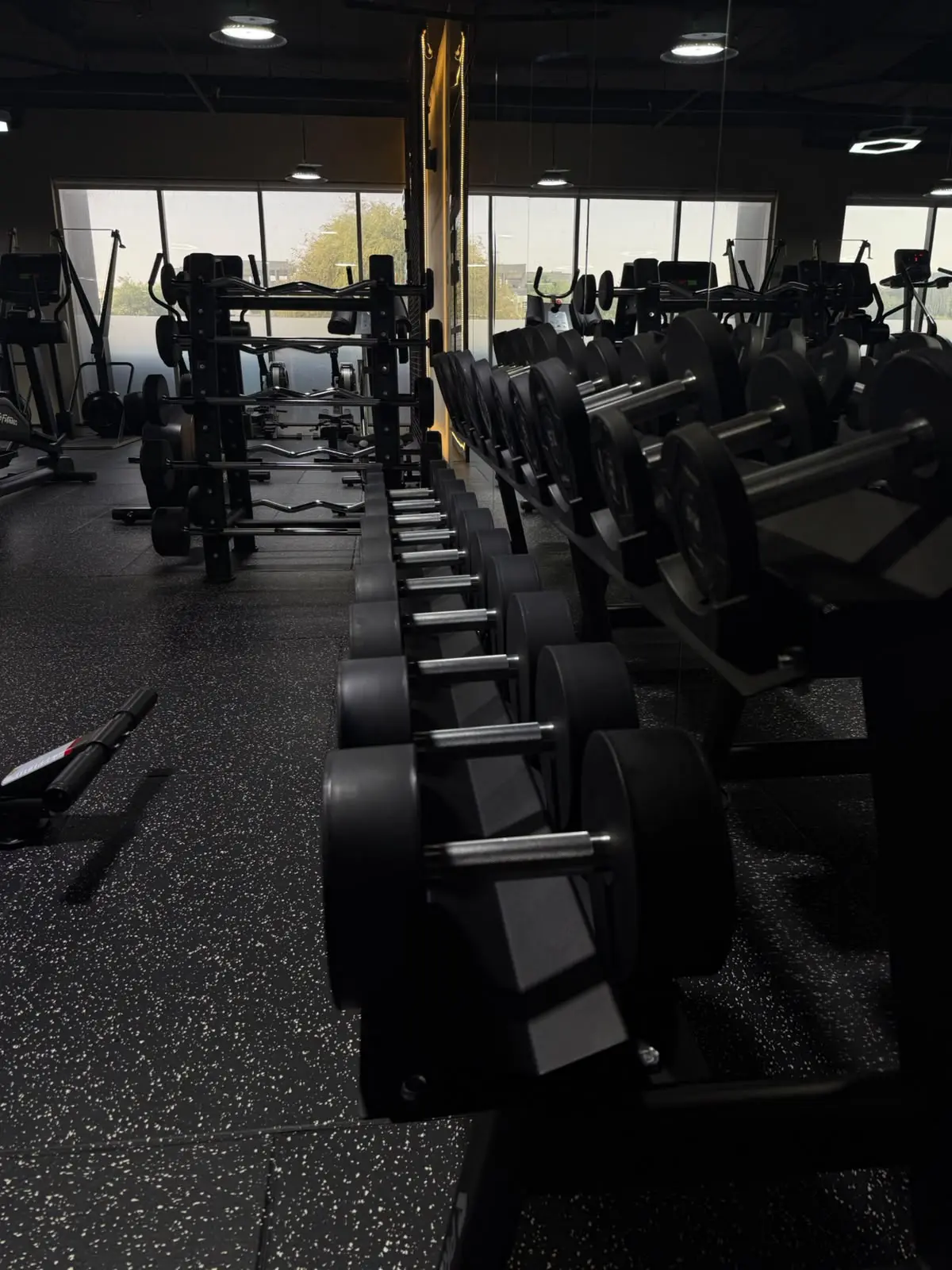Complete dumbbell and cardio training area